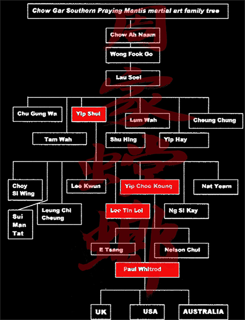 family tree